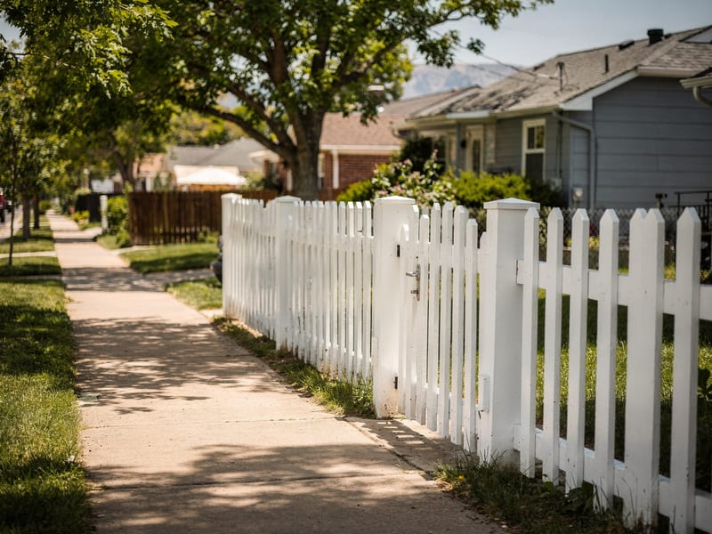 Dog Bites & Animal Attacks — Ironvine Injury Law, Denver